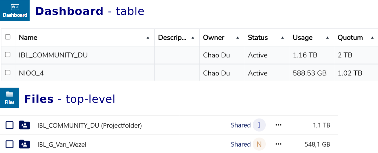 Example of project folder name