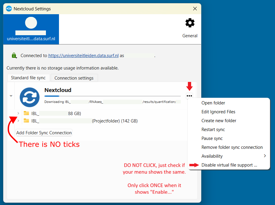 Virtual files enabled in Windows 11